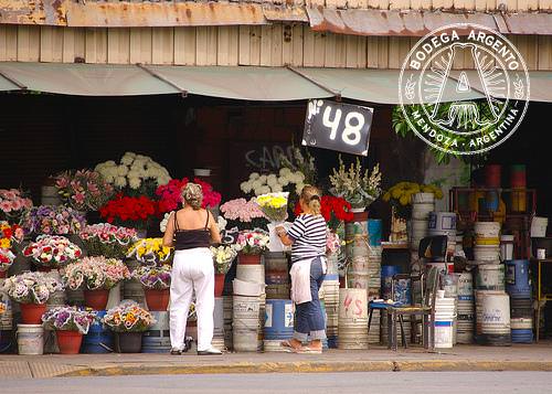 Buenos Aires Barrio - Chacarita Flower Stalls