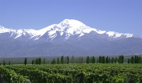 Tupungato Vineyards, Mendoza, Argentina