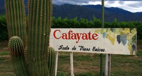Cafayate Valley Salta Argentina
