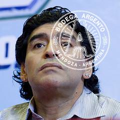 Diego Maradona Argentina Football World Cup 2010