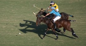 Polo players on horses crossing sticks