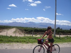 Cycling in a Vineyard