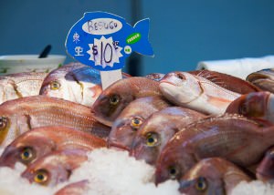 Argentinian Fish - Chinatown